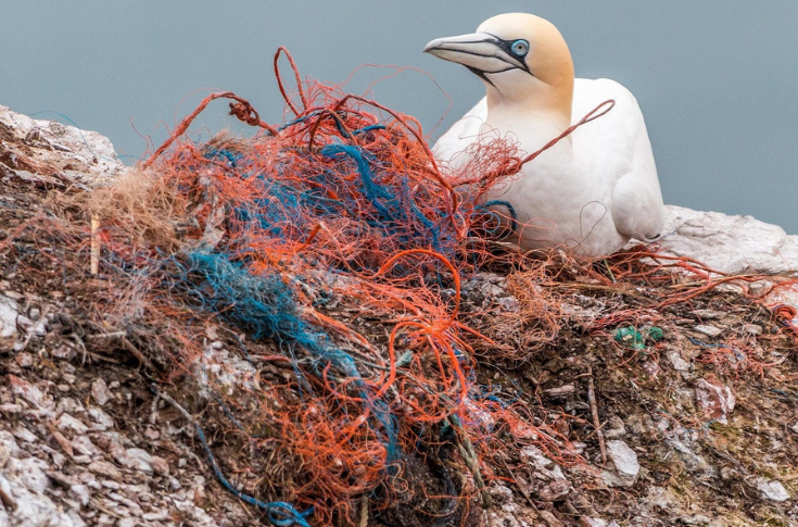 UN Plastics Treaty end without a treaty