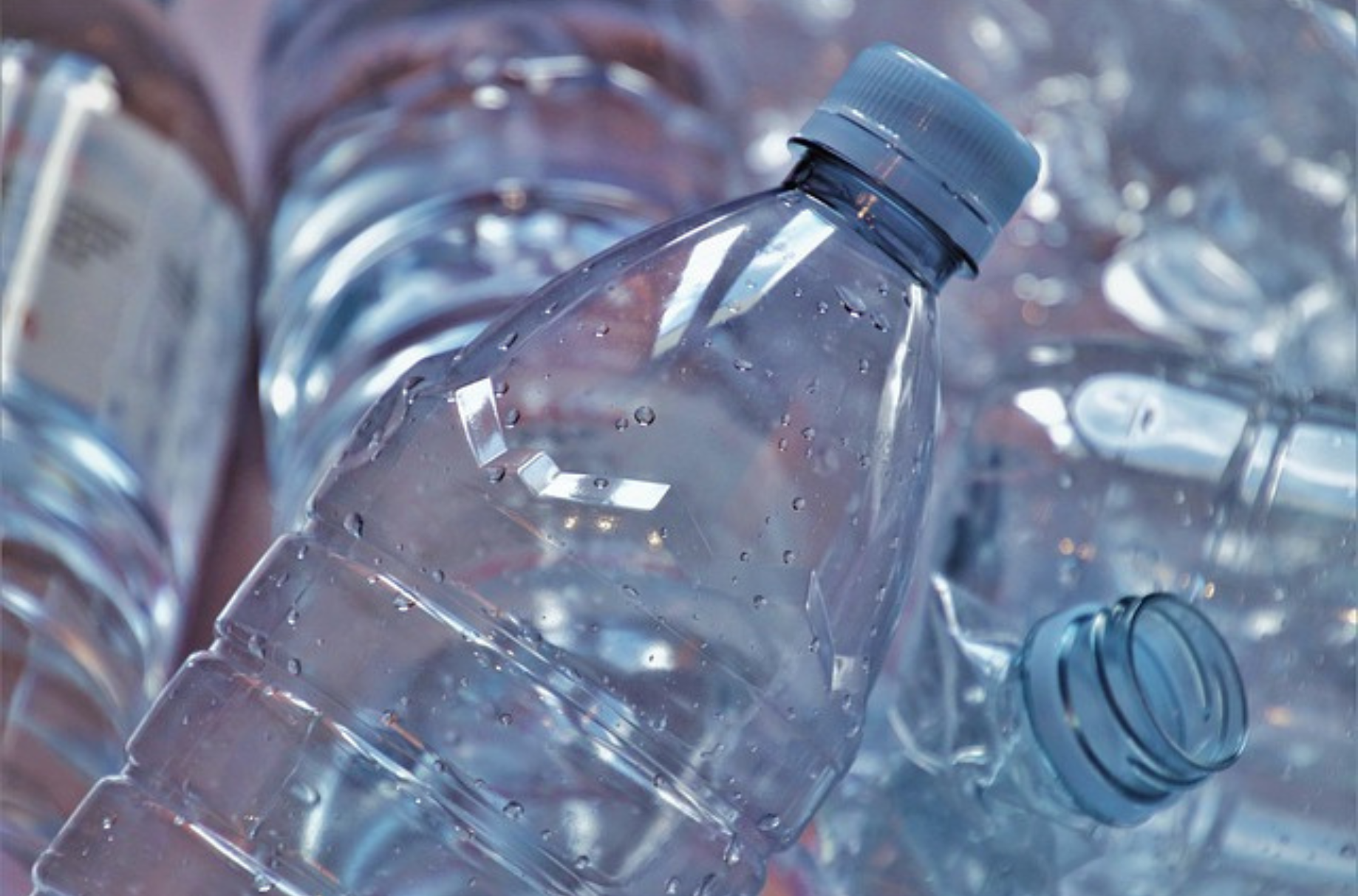 India's biodegradable packaging industry to see a 7.1% CAGR