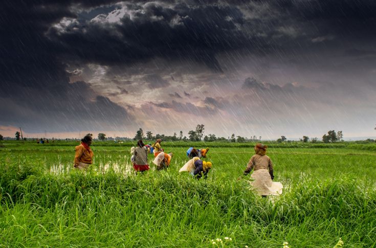 FSSAI calls for control of chemical contamination in agricultural raw materials
