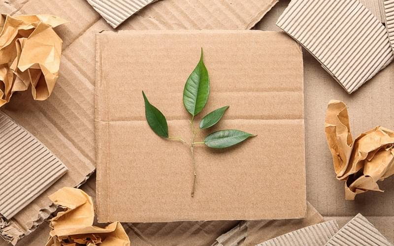 DCGpac: How packaging got a stylish update and became more competitive