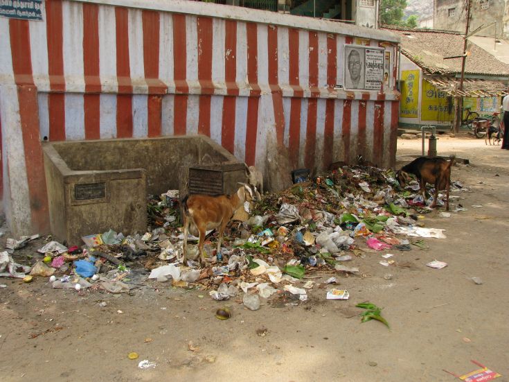 New solid waste management rules signal shift towards circularity