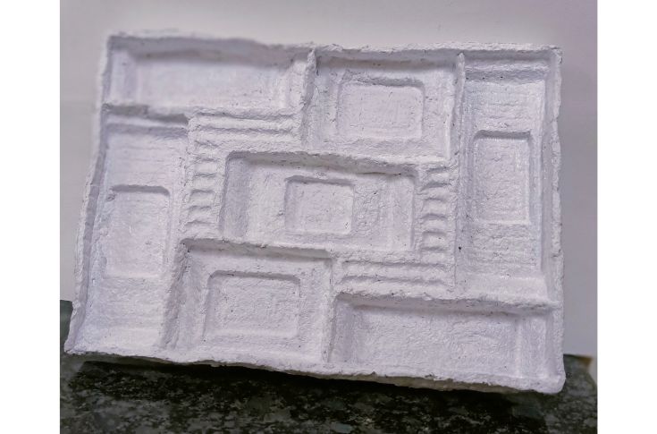 IIP's Saamir Akhtar talks about a biodegradable tray